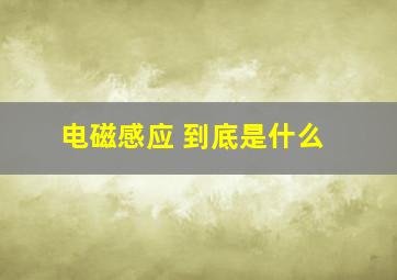 电磁感应 到底是什么